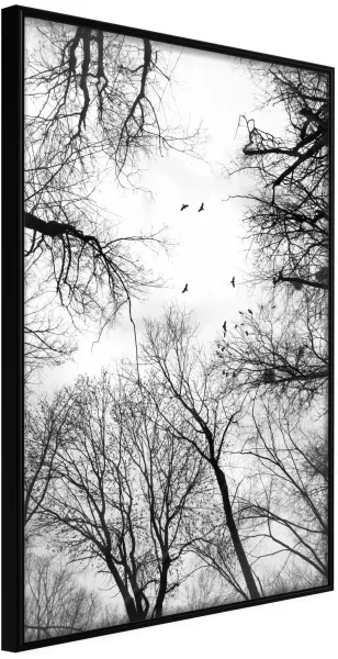 ARTGEIST Poster med ram - Treetops Svart 40x60