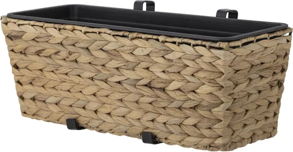 Raul, Blomkruka, naturlig, naturlig